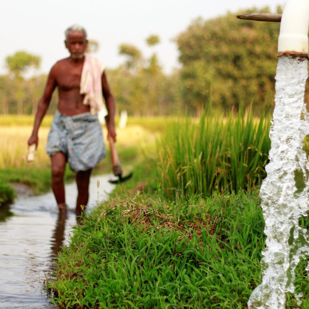 Farmers